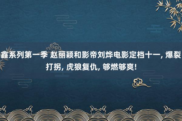 鑫系列第一季 赵丽颖和影帝刘烨电影定档十一， 爆裂打拐， 虎狼复仇， 够燃够爽!