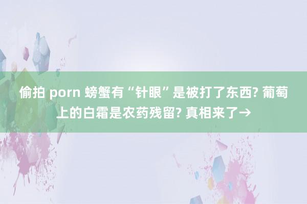 偷拍 porn 螃蟹有“针眼”是被打了东西? 葡萄上的白霜是农药残留? 真相来了→