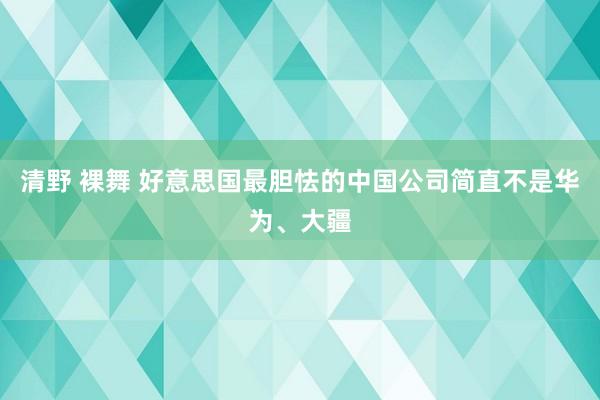 清野 裸舞 好意思国最胆怯的中国公司简直不是华为、大疆