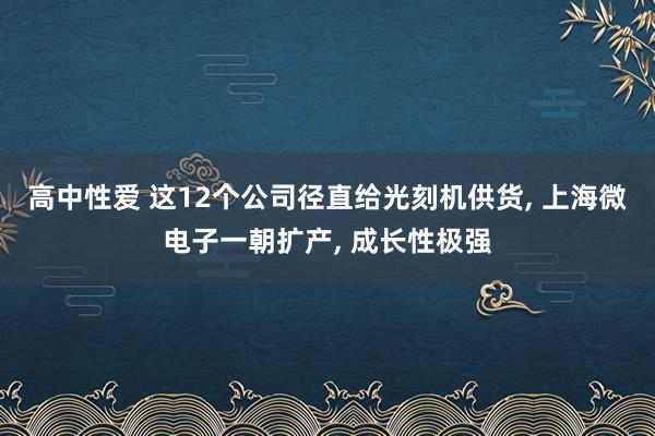 高中性爱 这12个公司径直给光刻机供货， 上海微电子一朝扩产， 成长性极强