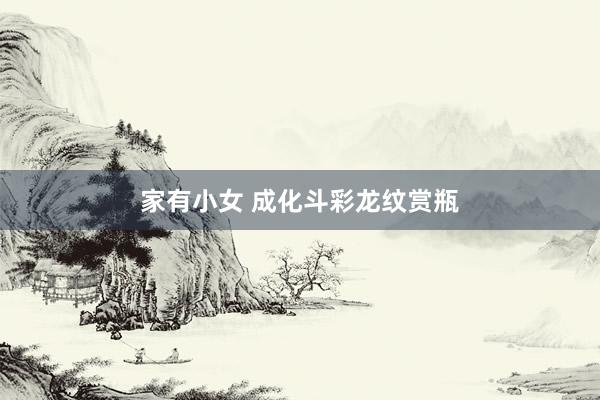家有小女 成化斗彩龙纹赏瓶