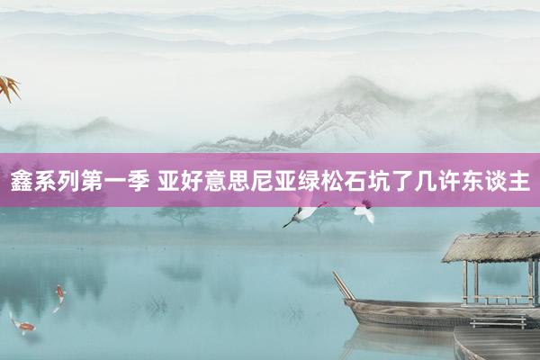 鑫系列第一季 亚好意思尼亚绿松石坑了几许东谈主
