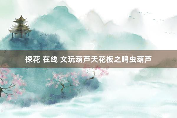 探花 在线 文玩葫芦天花板之鸣虫葫芦