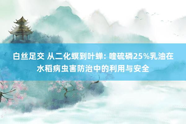 白丝足交 从二化螟到叶蝉: 喹硫磷25%乳油在水稻病虫害防治中的利用与安全